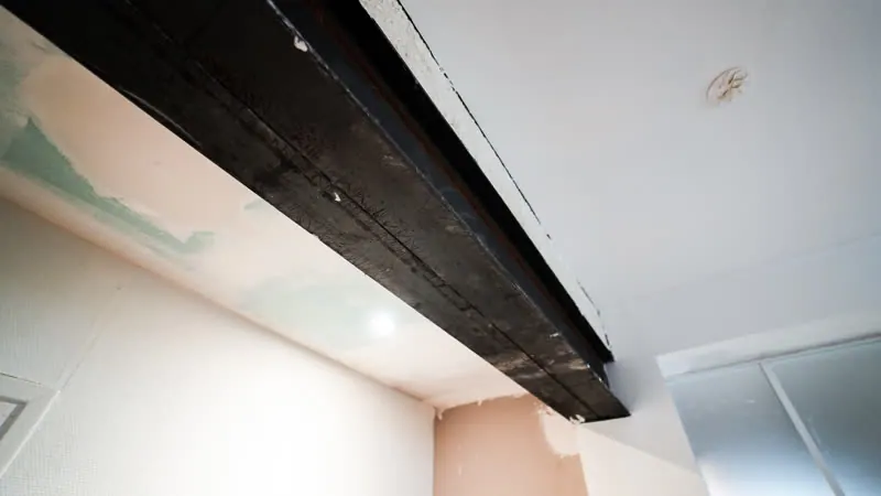 La Volière, chantier